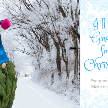 Evergreen Gnome
