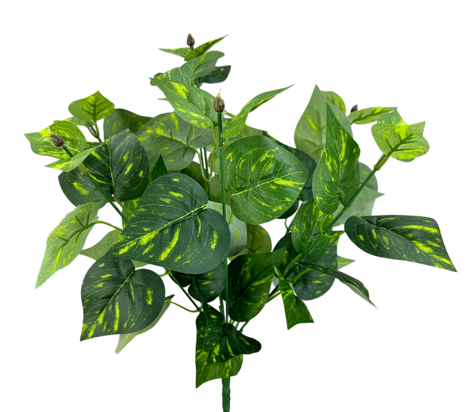 The 15 Green Pothos Bush with 7 Stems (13646GN) features lush green leaves and small buds in varying shades and patterns, including dark green and yellow streaks, creating a dense, vibrant display.