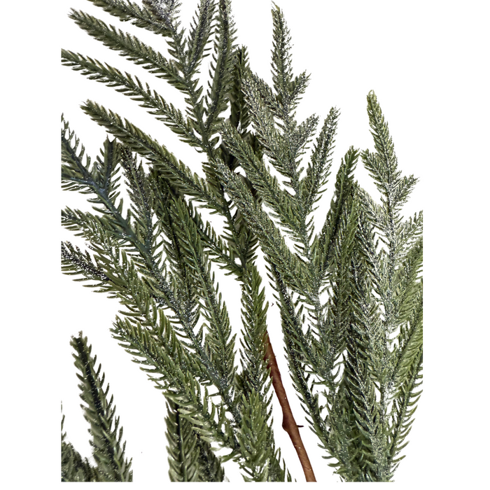 The 24 Snowy Sparkle Real Touch Norfolk Pine Spray 510726 features green, frosted leaves with fine, realistic needle-like textures and natural overlapping patterns, adding a snowy sparkle against a clean white background.