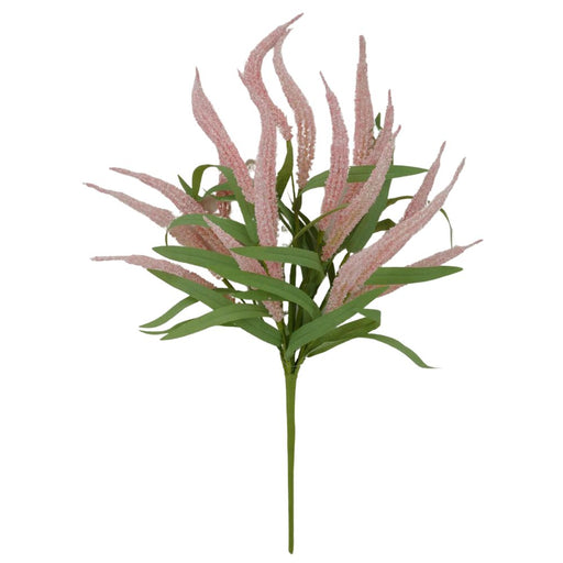 64852-PK-pink-foxtail-bush