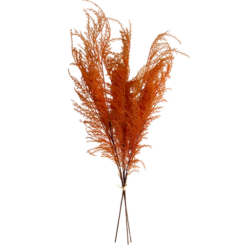The 28-inch Phoenix Tail Fern (82680-Or) features a bundle of orange dried pampas grass, tied at the base, fanning out against a white background for a rustic and vibrant display.