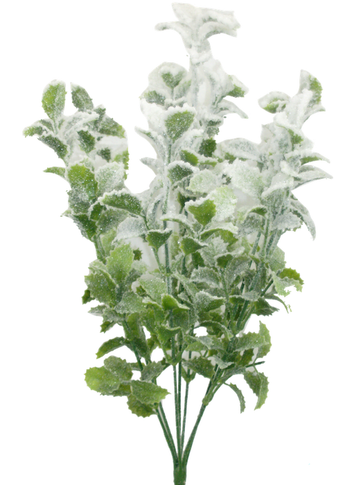The 18 Green Snowy Mint Bush (82713GN) has green leaves accented with white frost, creating a charming, wintry look.
