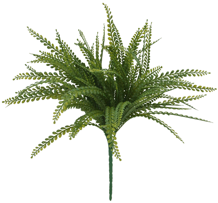 The 19 Long Green Plastic Button Fern 83531 features stems with small, rounded leaflets, fanned out in multiple directions against a plain background.