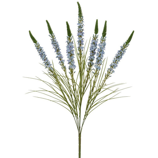 The 25.5 Blue Lavender Bush with 7 Stems features tall blue veronica flowers resembling a delicate lavender bush with elongated spikes of tightly packed blooms on slender green stalks and grass-like leaves at the base.
