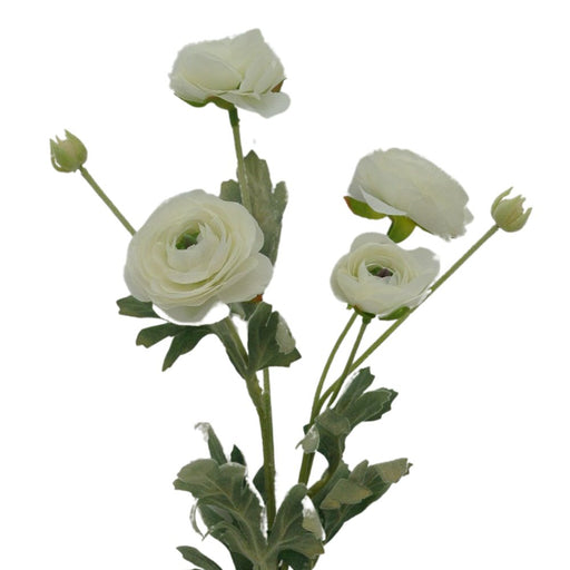 The 26 Cream Ranunculus Spray 84072-Cr features a cluster of white buttercup flowers with lush green leaves and stems, all set against a plain white background. The arrangement displays the blooms in various stages with delicately layered petals.