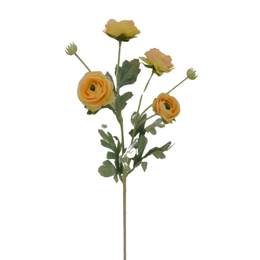 The 26 Yellow Ranunculus Spray 84072-Yel features vibrant yellow blooms with lush green leaves, strikingly set against a crisp white background.