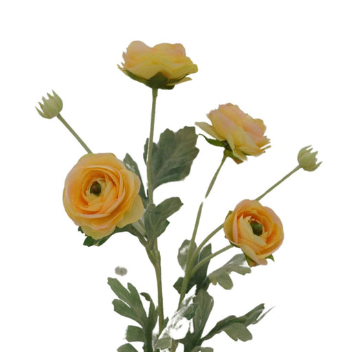 The 26 Yellow Ranunculus Spray 84072-Yel features yellow ranunculus flowers with green leaves and unopened buds against a white backdrop.