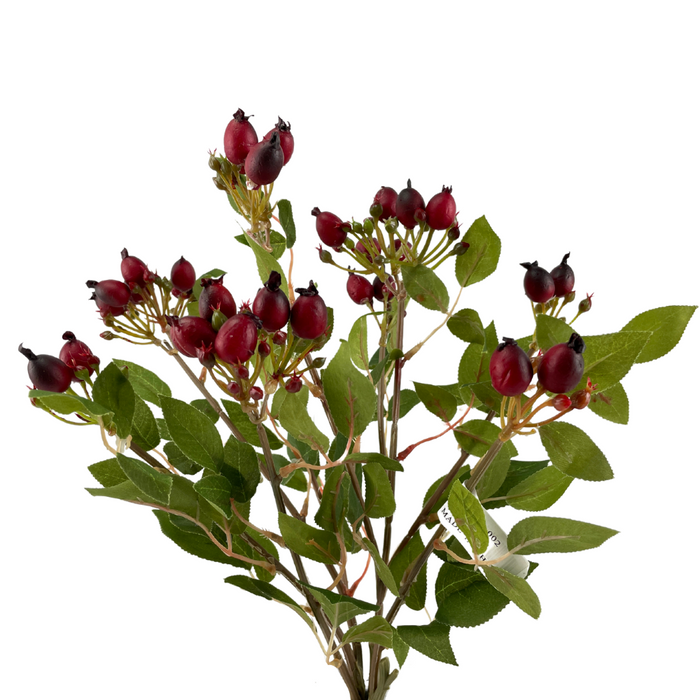 17" Rose Hips Bush SB55661-002