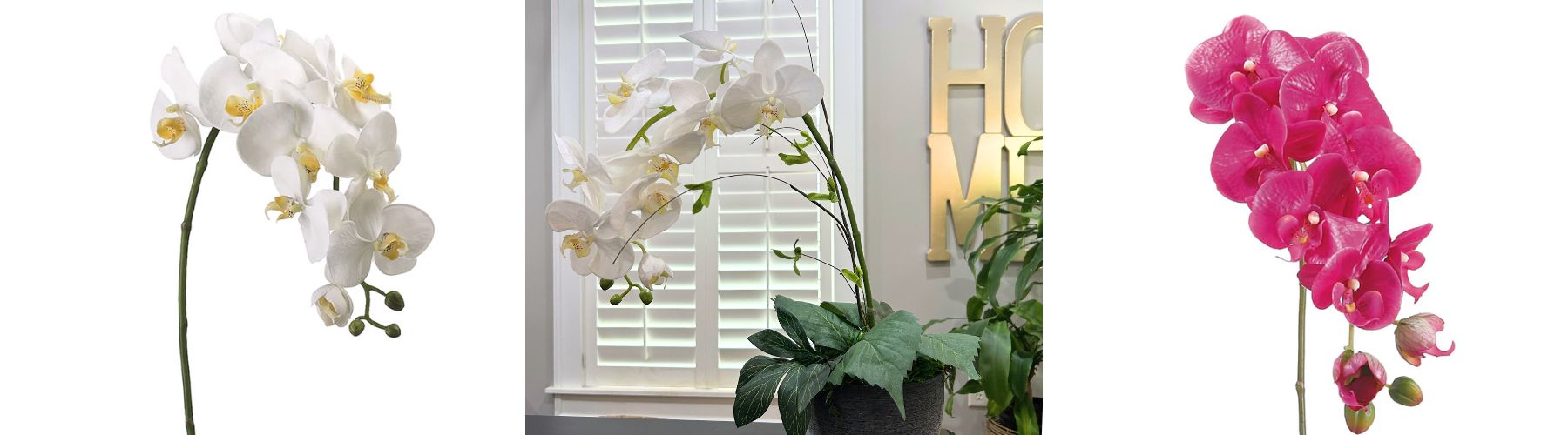 Phalaenopsis or orchid spray for a small floral arrangement