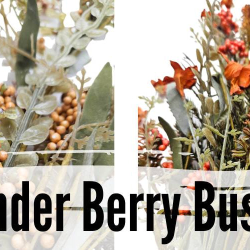 lavender berry bush in six colors