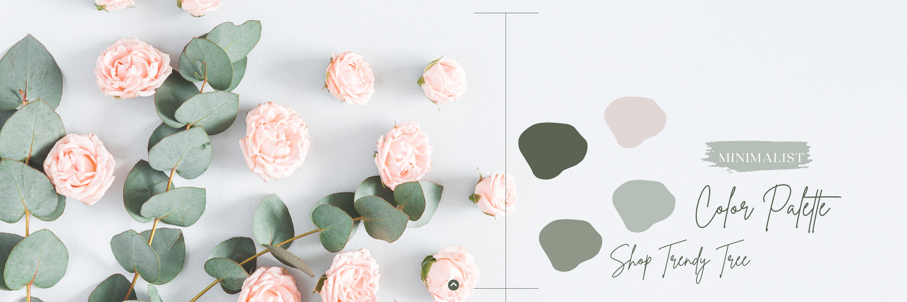 Minimalist Color Pallet