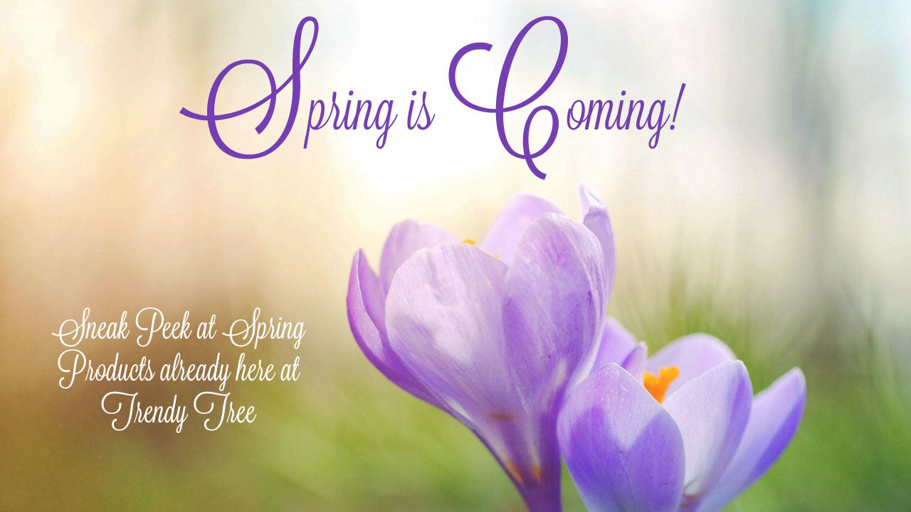 Spring Decorations Arriving!