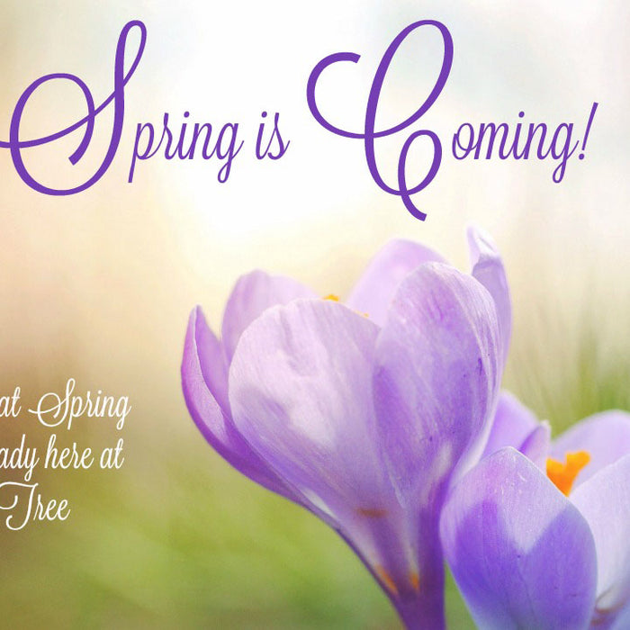 Spring Decorations Arriving!