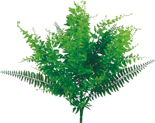 The 20 Green 9 Stems Plastic Grass Bush (13353GN) features lush, vibrant green leaves cascading in a dense, bushy arrangement. With a feathery texture and shades of green fanned symmetrically, this artificial plant offers a full and balanced appearance.