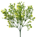Clusters of small, delicate yellow-green flowers on slender 14 stems resemble the 14 Cream Plastic Wax Flower Bush with multiple branches, model 13539CM.