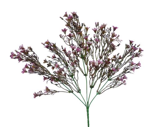 The 14 Purple Plastic Wax Flower Bush (13539PU) features five stems with delicate pink blooms, creating a sparse and airy look against a black background, capturing a light and ethereal essence.