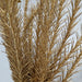 Close-up of the 16" Gold Christmas Salix (Product code: 83552-GOLD) against a pale background. These intricately detailed branches feature a shimmering metallic finish, imparting a luxurious and elegant appearance.