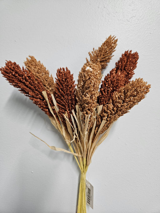 A 17 Dog Tail Bush 63470, featuring dried millet stalks in shades of brown, is elegantly arranged against a white background. The stalks are fanned out, highlighting their textured and grainy appearance.