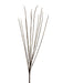 The 37 Brown Broom Branch (2140038BR) features a broom-like bundle of thin, bare brown branches, beautifully fanned out against a pristine white background.