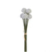 A bundle of six 16 Billy Balls White (2150140WH) stems with round, textured white flower heads and green stems, tied with a light brown string against a plain white background.