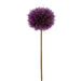 A 25 Dandelion Spray Plum (2150147PL) features a single plum-colored, round pompom flower on a long, slender brown stem, set against a plain white background.