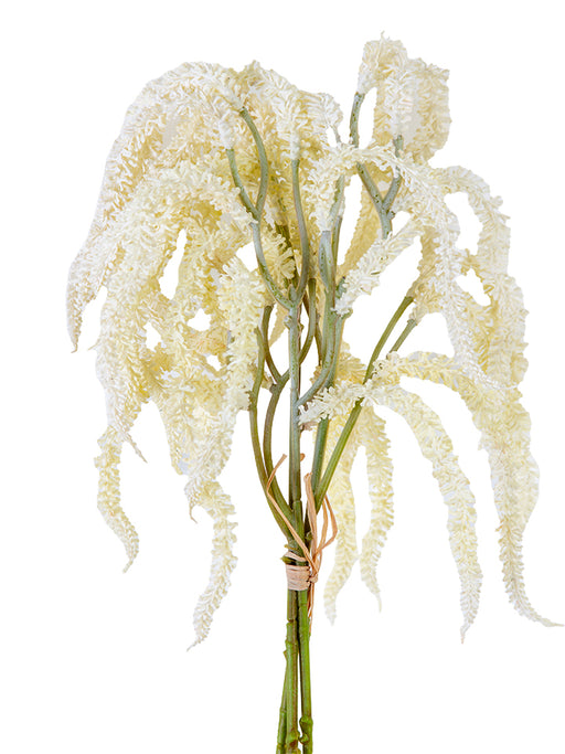 The 12.5 Cream Amaranthus Bundle 2150156CR features long, cascading cream-colored petals with a fluffy texture, bound together at the stems with a rubber band, while the vibrant green stems remain visible.