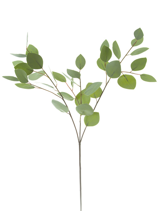 The 32 Green Eucalyptus Spray (2310173GR) features multiple offshoots with small, smooth green leaves. These leaves are sparsely arranged against a plain white background, highlighting the delicate structure of the branches.