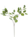 The 32 Green Eucalyptus Spray (2310173GR) features multiple offshoots with small, smooth green leaves. These leaves are sparsely arranged against a plain white background, highlighting the delicate structure of the branches.