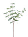 The 26 Frosted Sage Eucalyptus Spray (2310309FS) features multiple thin branches with round, flat green leaves. Displayed on a white background, it offers a minimalist and natural botanical look.