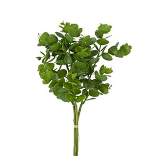 The product 18 Spiral Eucalyptus Bundle Green (2310419GR) features a fan-like arrangement of gathered green spiral eucalyptus leaves with round, smooth edges.