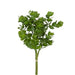 The product 18 Spiral Eucalyptus Bundle Green (2310419GR) features a fan-like arrangement of gathered green spiral eucalyptus leaves with round, smooth edges.
