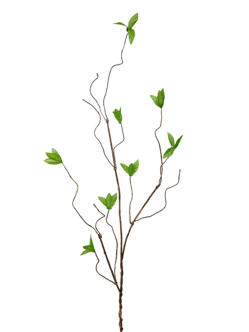 The 31 Green Willow Spray 29447GN features elegant twisting stems with clusters of lush green leaves, creating a simple yet striking silhouette against a plain black background.