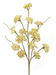 A delicate branch with clusters of small, cream-colored flowers, similar to a 32 Natural Yarrow Spray with 5 Stems (29461NAT), set against sparkling accents. The pink, blue, and purple hues create a dreamy and abstract atmosphere.
