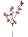 The 36 Hot Pink Peach Blossom 29463BT features delicate peach blossoms against an abstract, colorful background of hot pink hues and geometric shapes, beautifully highlighting the dainty flowers.