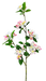 The 35 Cream and Pink Crab Apple Blossom Spray (29475CMPK) features a blooming branch with cream and pink flowers and vibrant green leaves on a clear background. Delicate blossoms are scattered along the stem, creating an elegant display.