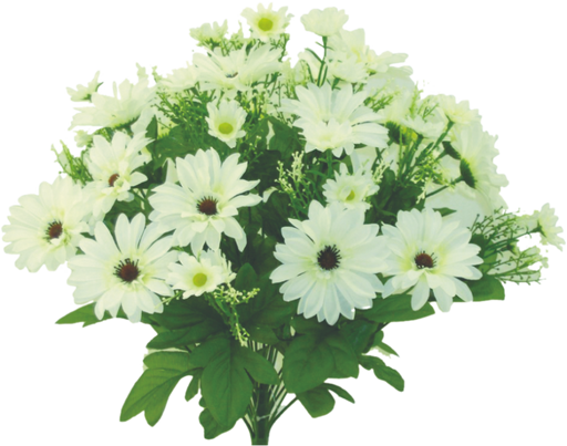 The 17 Cream Color Fast Daisy Bush with 22 stems, featuring white daisies with yellow centers and small green leaves, beautifully captures natures elegance against a creamy background.