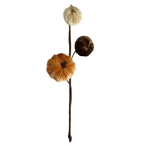 The 15 Mixed Velvet Gold Stem Mini Pumpkins Pick 31350 features three mini pumpkins in cream, brown, and light orange attached at varying heights to a velvet gold stem, set against a white background.