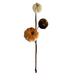 The 15 Mixed Velvet Gold Stem Mini Pumpkins Pick 31350 features three mini pumpkins in cream, brown, and light orange attached at varying heights to a velvet gold stem, set against a white background.