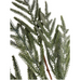 The 24 Snowy Sparkle Real Touch Norfolk Pine Spray 510726 features green, frosted leaves with fine, realistic needle-like textures and natural overlapping patterns, adding a snowy sparkle against a clean white background.