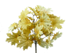 A cluster of yellow maple leaves with visible veins on brown stems, from the 20 Beige Maple Leaf Bush with 12 Stems 56600BE, isolated on a white background.