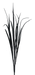 A black and white image of the 32" Black Glitter Sword Grass Spray, featuring long, slender, arching leaves against a dark background.