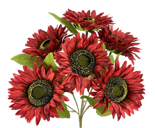 A tight cluster of vibrant burgundy sunflowers with dark disks and lush green leaves on slender 19 stems, named the 19 Burgundy Sunflower Bush with 6 Stems (57108BG).