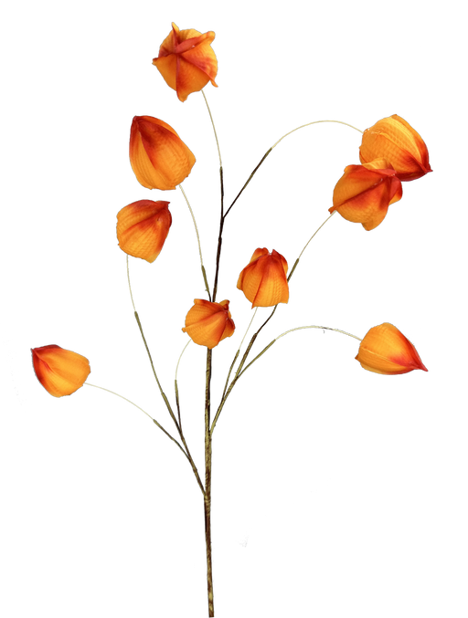 The 32 Orange Lantern Spray with 9 Stems (57113OR) features vibrant, orange lantern-shaped flowers on thin, curved stems set against a black background.