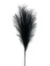 The 30" Black Pampas Spray 57172BK showcases a single black feather set against a dynamic and abstract backdrop, highlighted by a burst of pastel hues and speckles.