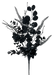 The 27 Black Hydrangea Berry Pick (57234BK) features dried flowers and foliage with varied leaf shapes and textures on a single stem, beautifully isolated on a transparent background.