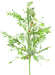 A vibrant 28 Dusty Miller Pod Mix Green Spray, featuring a mix of green and white artificial flowers, leaves, small acorns, and a variety of textures and shapes.