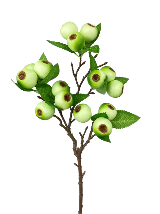 H23 Green Berry Spray 62945GN
