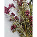 A close-up of the 24 Burgundy Lavender Berry Spray 63048-BG, showcasing clusters of small burgundy berries and green leaves on pale stems against a plain white background.