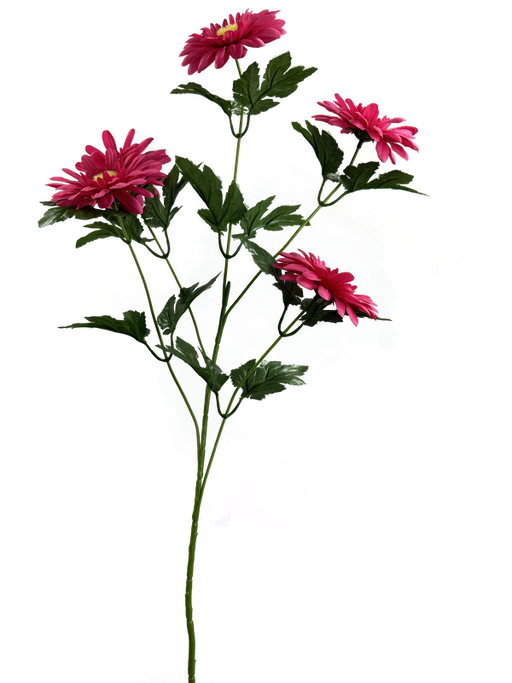 A tall 28 stem of the Hot Pink Daisy Spray 63313BT features lush green leaves and vibrant hot pink blooms against a multicolored abstract background, offering layered petals for a rich texture.