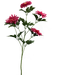 A tall 28 stem of the Hot Pink Daisy Spray 63313BT features lush green leaves and vibrant hot pink blooms against a multicolored abstract background, offering layered petals for a rich texture.